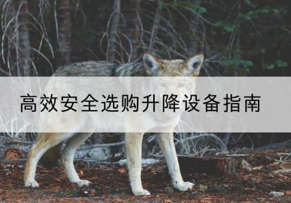 九龙坡区升降货梯厂家推荐-*安全选购升降设备指南