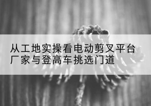 九龙坡区电动剪叉升降平台厂家-从工地实操看电动剪叉平台厂家与登高车挑选门道