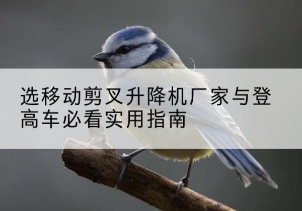 九龙坡区电动升降机厂家-选移动剪叉升降机厂家与登高车必看实用指南